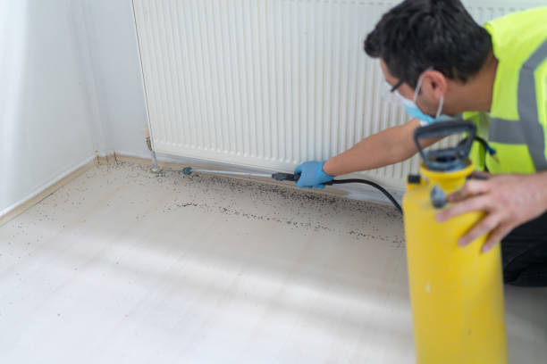 Best Pest Control Cost  in Pioche, NV